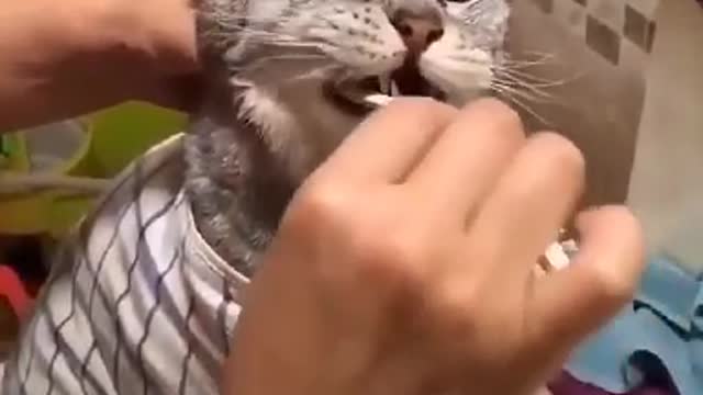 غسل اسنانك الصبح