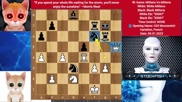 Mittens Vs Mittens - Brilliant Chess Game Mittens Chess Gothamchess Chess strategy Chess