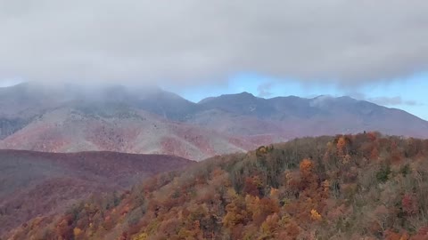 NW NC Appalachia / Scenic overlook on the Mt Mitchell descent