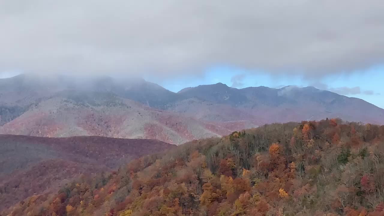 NW NC Appalachia / Scenic overlook on the Mt Mitchell descent