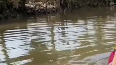 Very Sexy Girl Try to Catch Fish by Her Own Hand