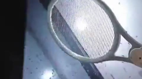 Electric racket against mosquitoes