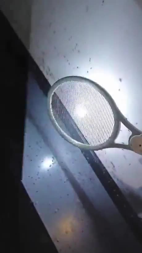 Electric racket against mosquitoes