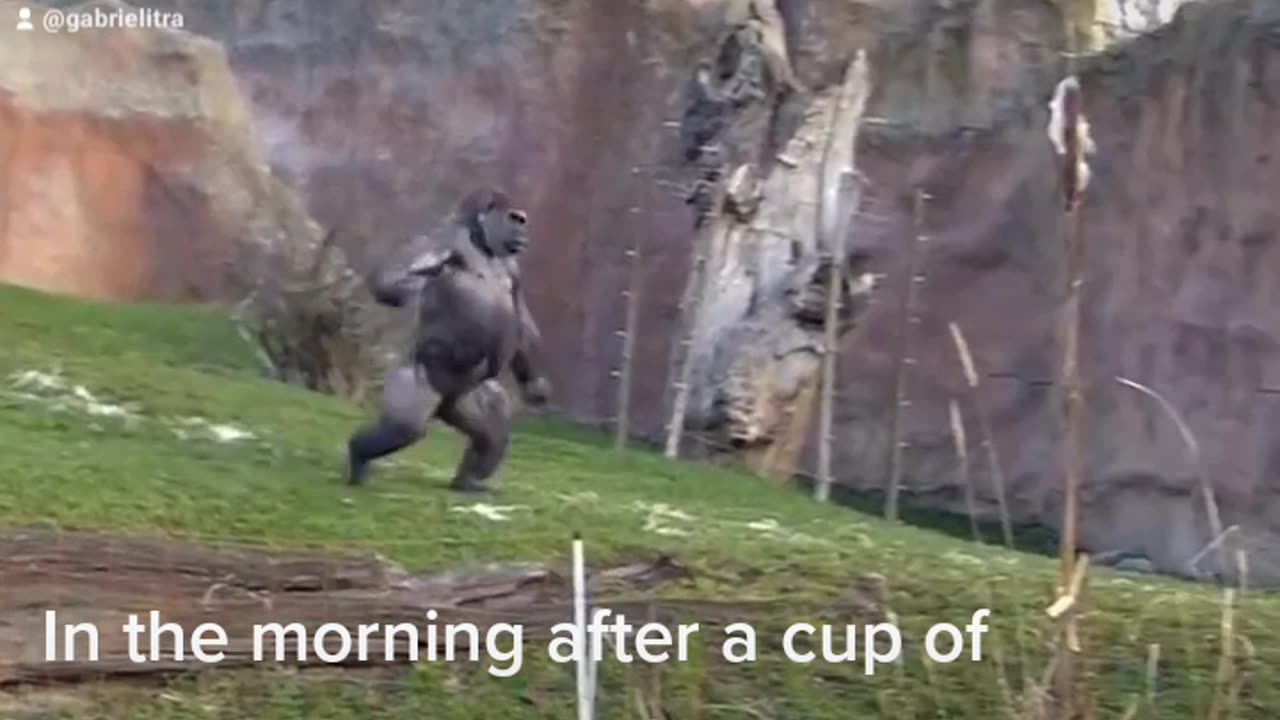 AFTER COFFEE IN THE MORNING