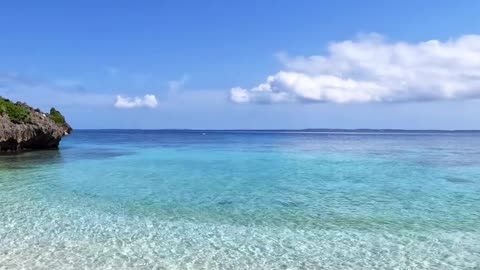 diving#blue#ocean#oceanlife#sea#sealife#japan#okinawa