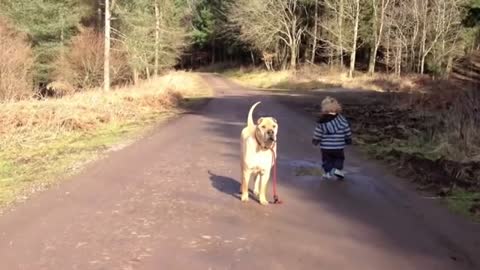 baby and dog , best friendship