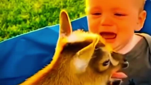 The end 😂😂 #fun #funny #funnyvideo #funnyvideos #funnybaby