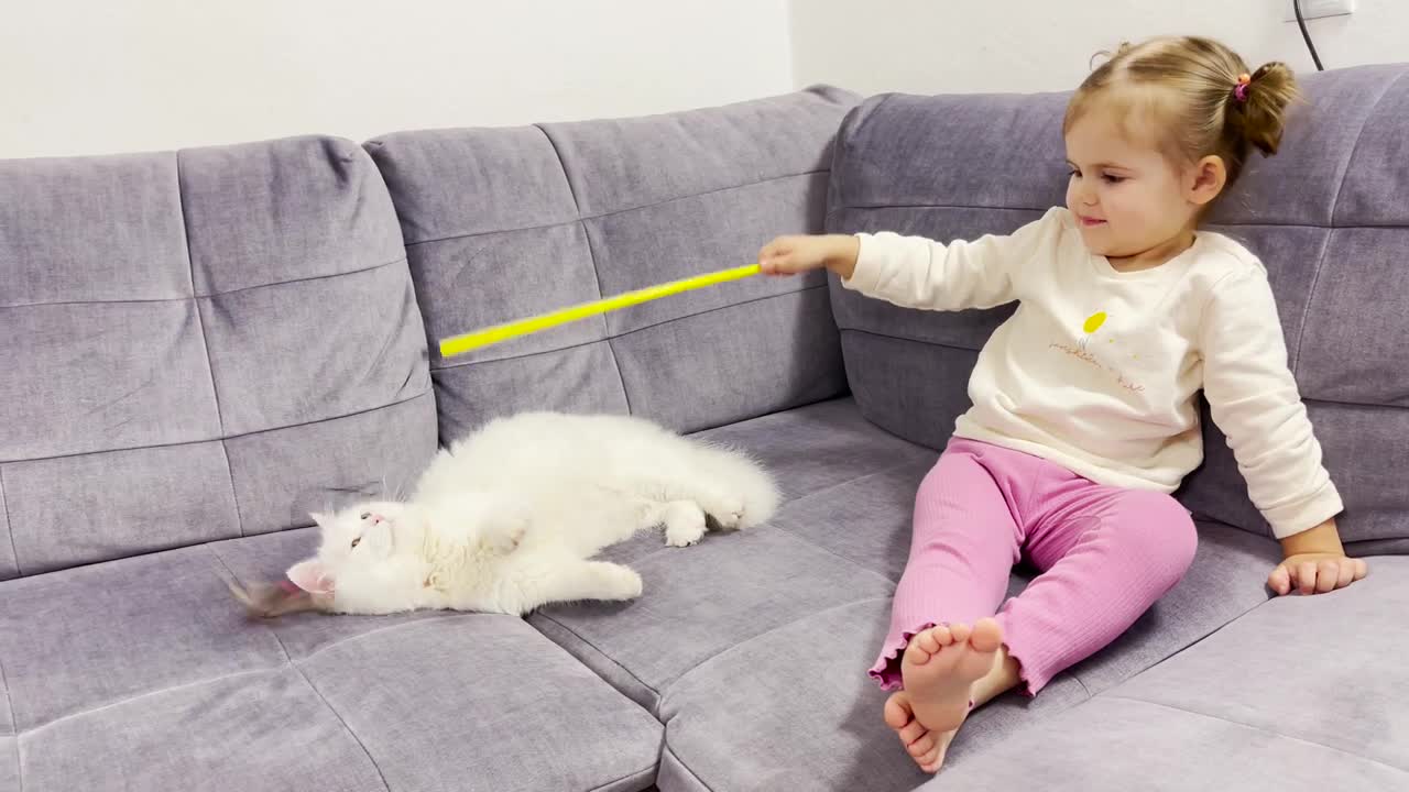 Baby Girl Meets White Cat for the First Time!