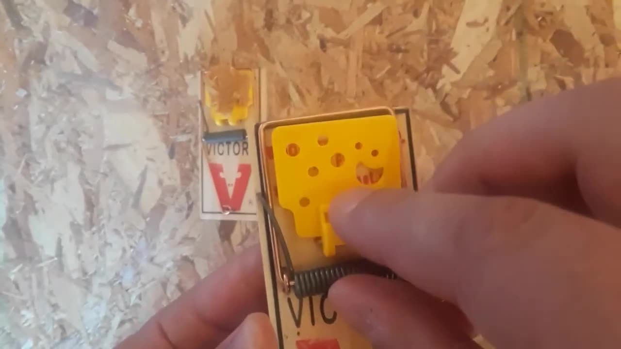 Victor Easy Set Mouse Trap