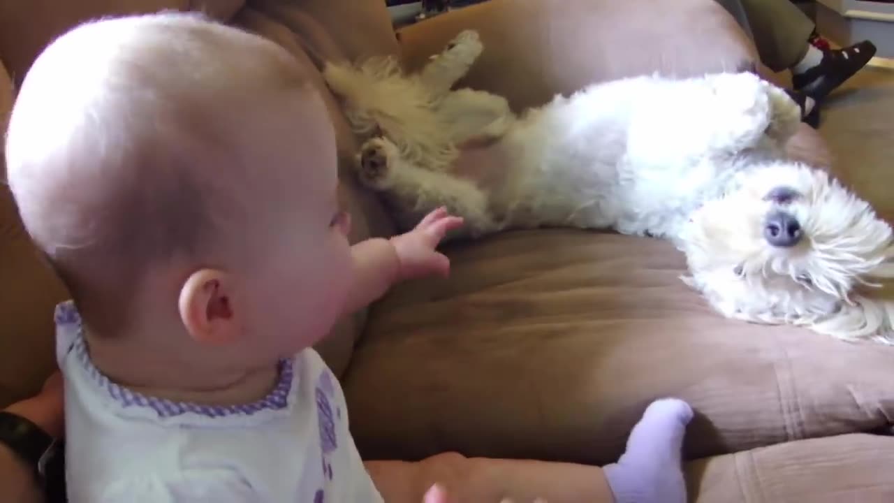 Cute Babies Playing WITH Dogs compliction babies funny Dogs