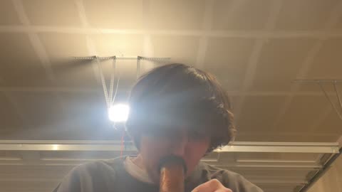 Day 131 pt4 Song of the South