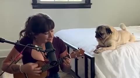 Dog Song