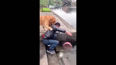 Smart dog and his owner