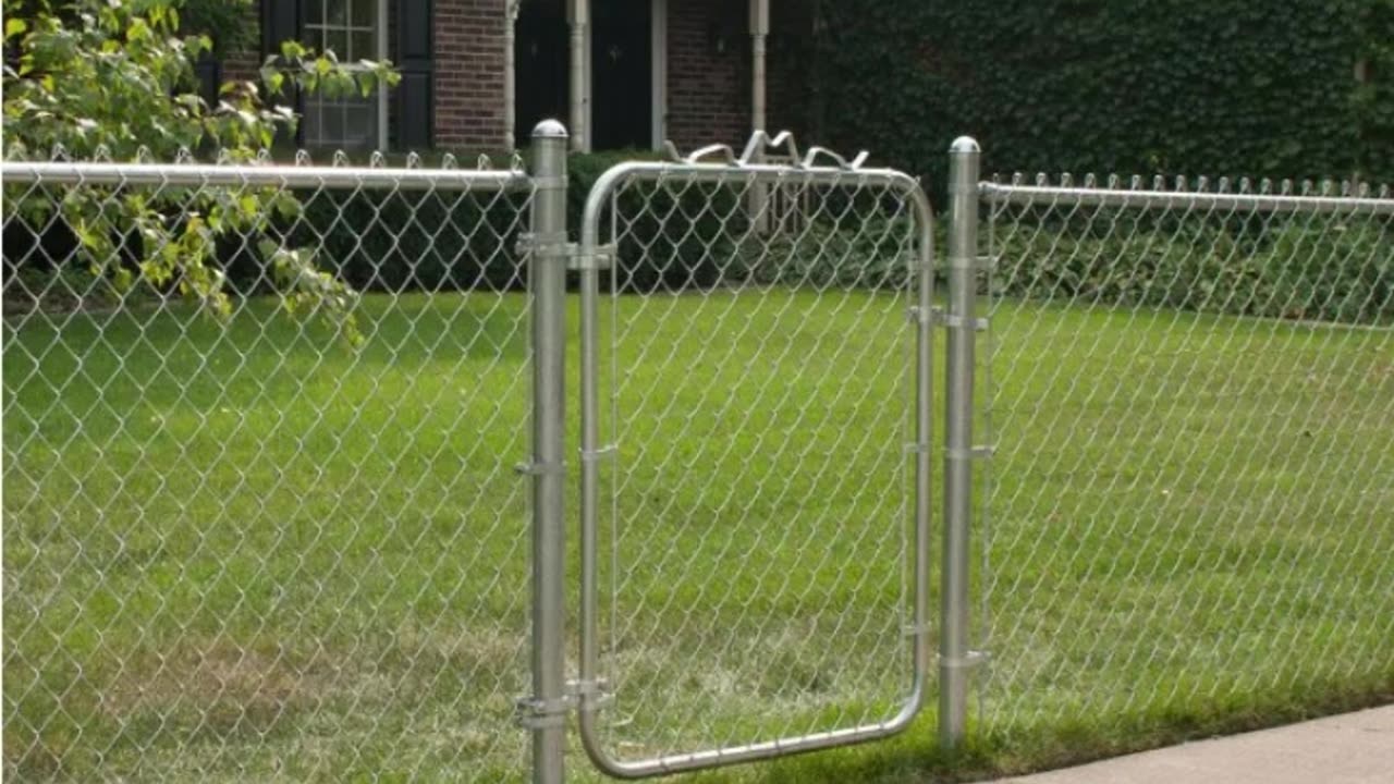 HUGE Black Snake trying to BREAK INTO my house #snake #snakevideo #snaketoilet #nature #blacksnake