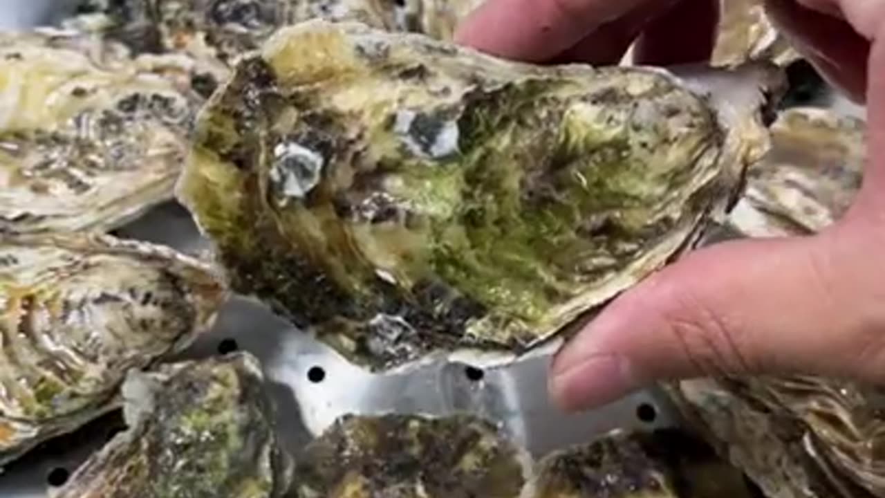 Coking Oyster recipe...