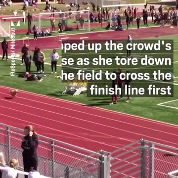 Dog joins race and WINS IT!!!