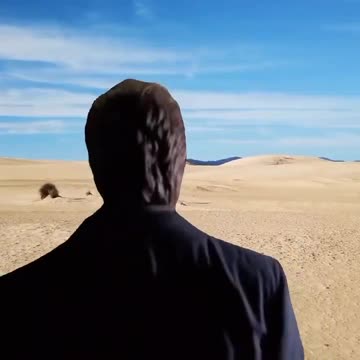 News Break: Germany 2025