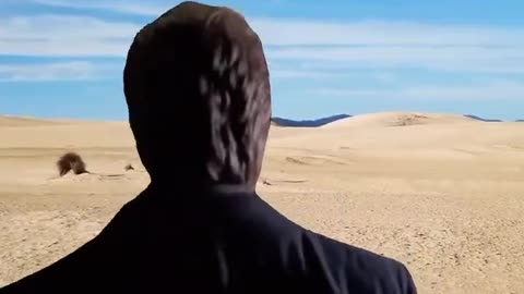 News Break: Germany 2025