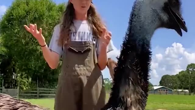 The monkey’s smile after it almost fell, so cute!