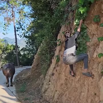 Woman finds herself in tricky situation!