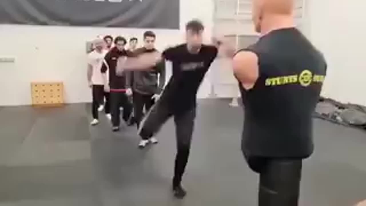 Finally he couldn't stand it...and knockout! 😂