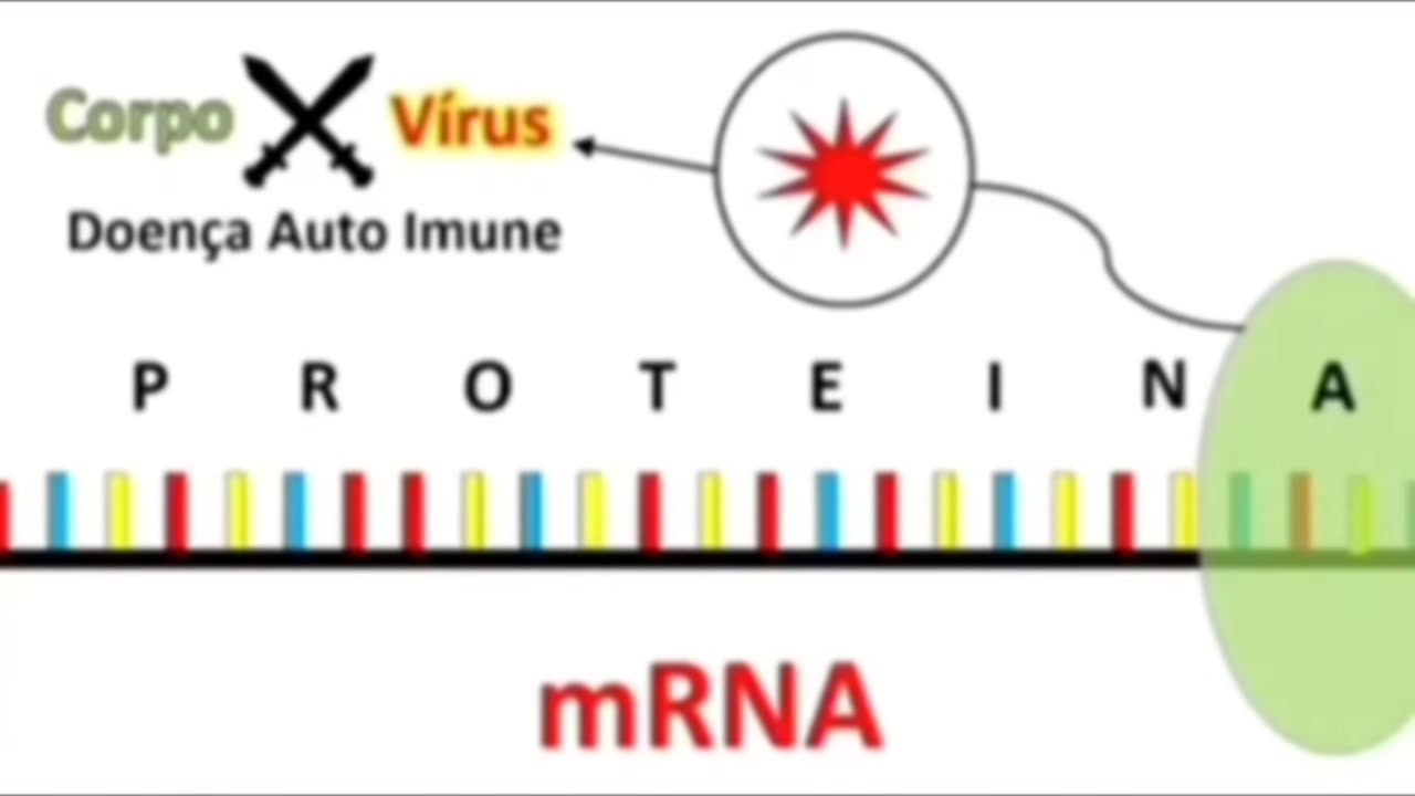 MODIFICAÇÕES DA PICADINHA NO DNA