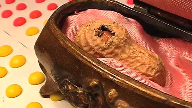 Baby Nut by PES