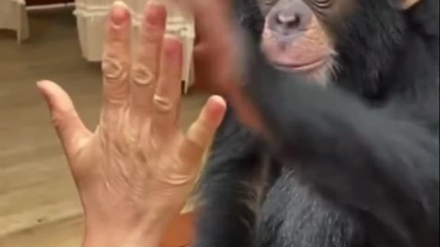 SO ADORABLE 😍🥺