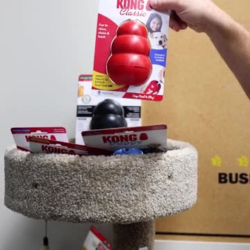 Finally, Something Good at the Pet Store!