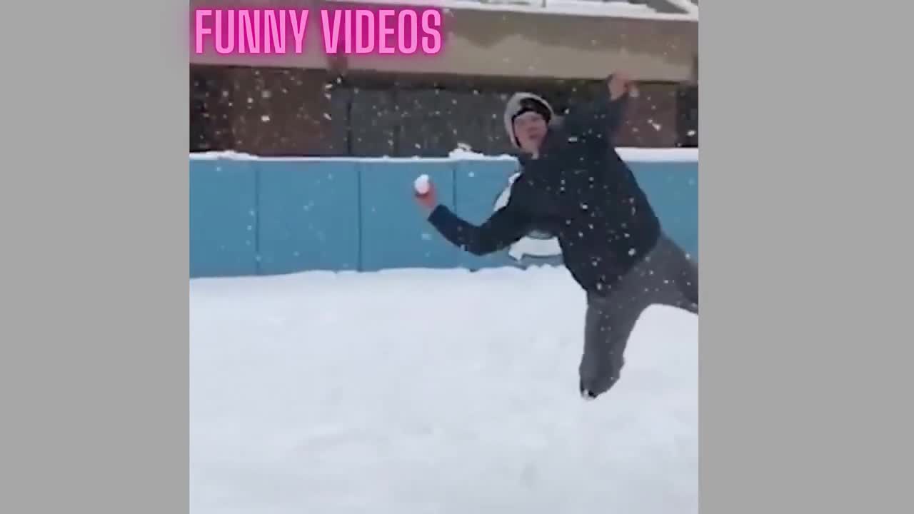 Man and dog funny video