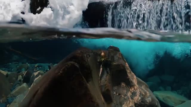 The gentle waves in the glacier water pool really enhance this beautiful moment ❄️🌊