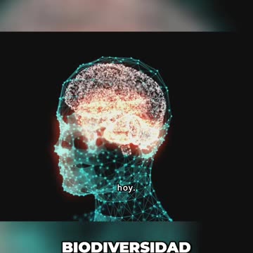 La Evolución de la Vida Desde Organismos Unicelulares a la Biodiversidad Actual