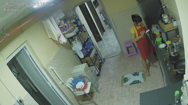 fullday fishy biz 20221009