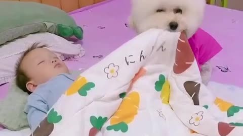 WOW Viral 🐶 Loving Cute Dog #funny #Viral #Dog