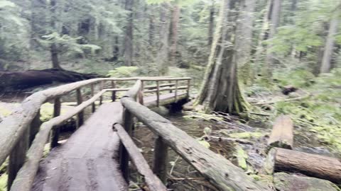 Crossing a Truly Epic Wooden Bridge – Tamolitch Blue Pool – Central Oregon – 4K