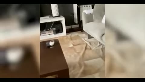 Funny anime