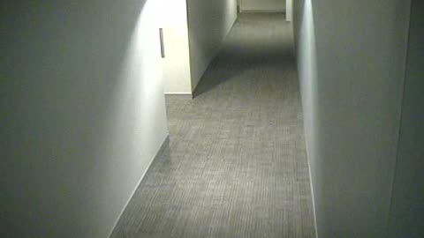 8410OHOB03SouthCorridor_2021-01-06_02h20min00s253ms.mp4