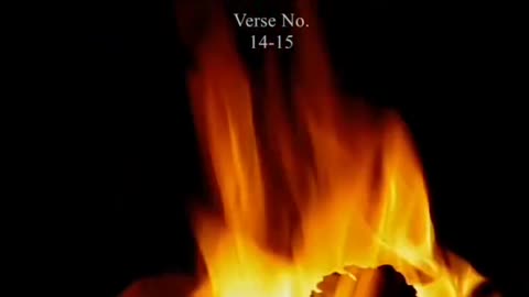 Or ye log #shorts #ytshorts