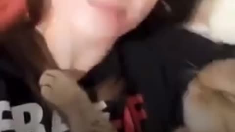Sexy cật kissing video
