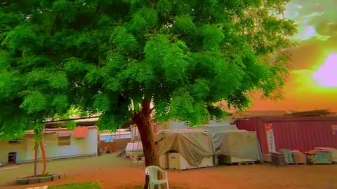 Environmental Mood