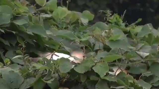 Time with God - September 24