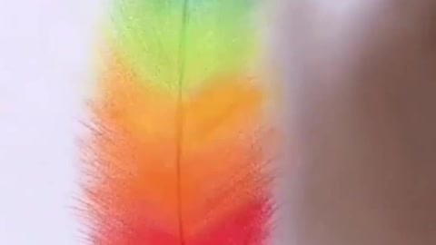 Amazing Craft Work Parrot 🦜 Feathers 🪶