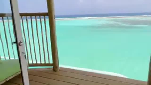 Who needs a vacation_ _shorts _vacation