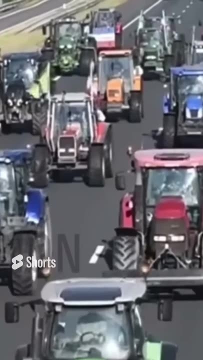 Dutch Children Protesting WEF