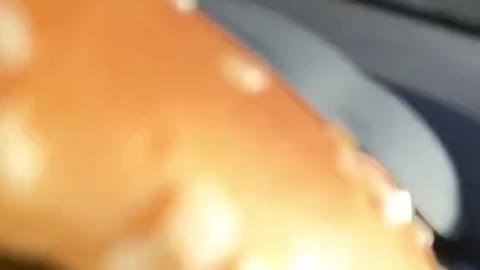 All kinds of food making tutorials