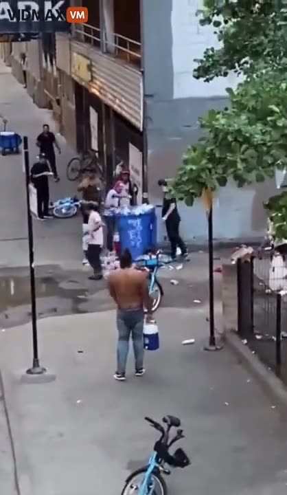 Chicago Slides Further Into Chaos As Locals Battle With Illegal Immigrants On The Streets