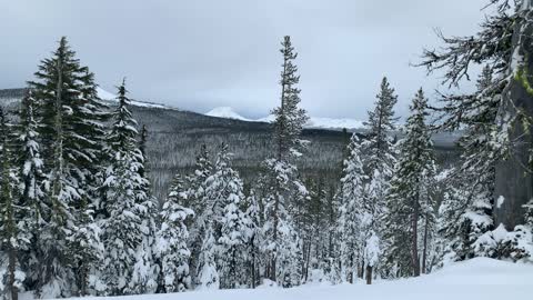 Spectacular Summit Views of Mount Bachelor – Central Oregon – Vista Butte Sno-Park – 4K