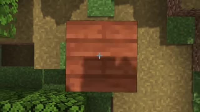 i renamed every item in Minecraft...