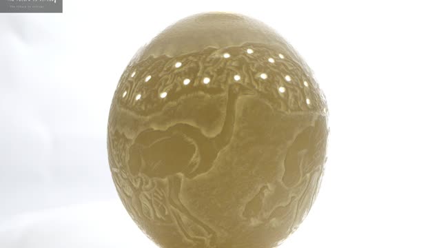 360 degree image of Namibian Ostrich Egg