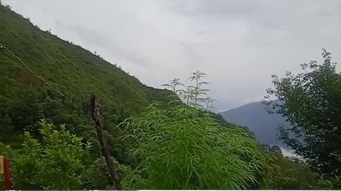 Gadwali status ❤️ view utthrakhand